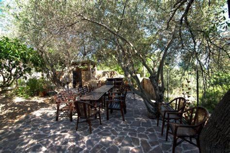 Villa Arancio Giorgio Cala Liberotto Dış mekan fotoğraf