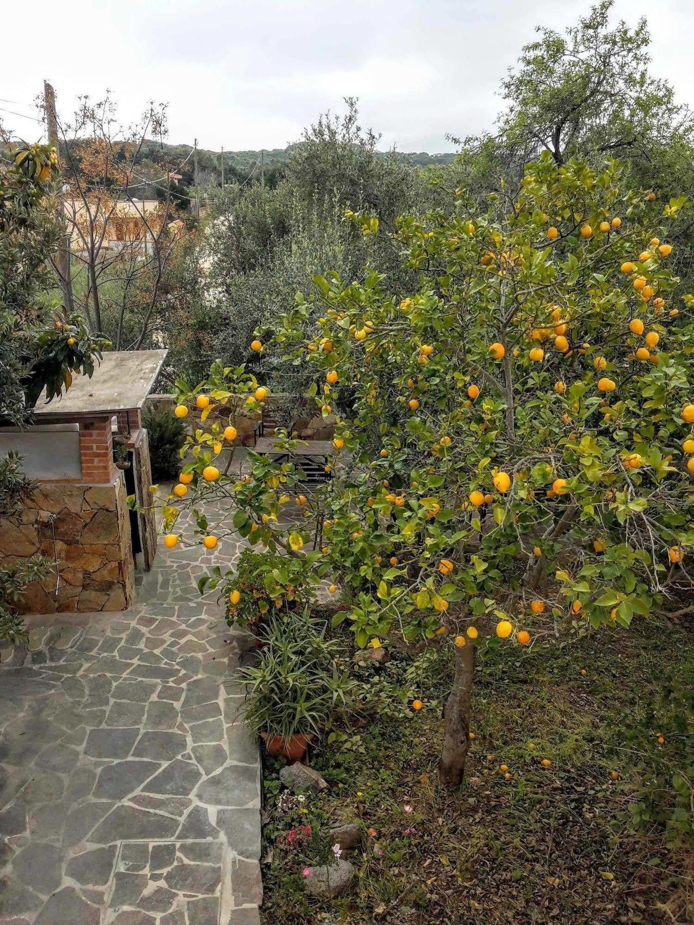Villa Arancio Giorgio Cala Liberotto Dış mekan fotoğraf